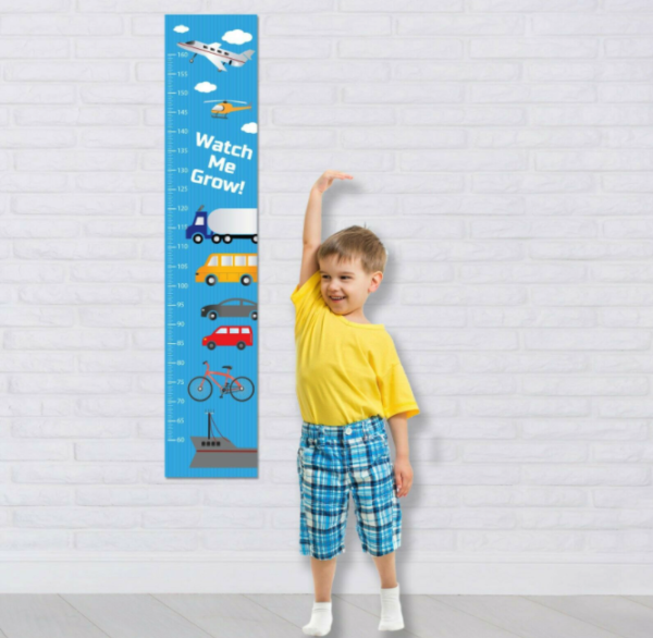 Cars Personalised fabric Boys Height Growth Chart